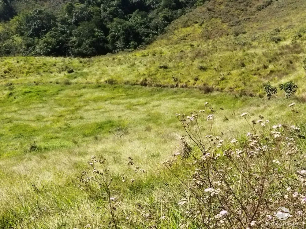 Terreno, 3 hectares - Foto 6