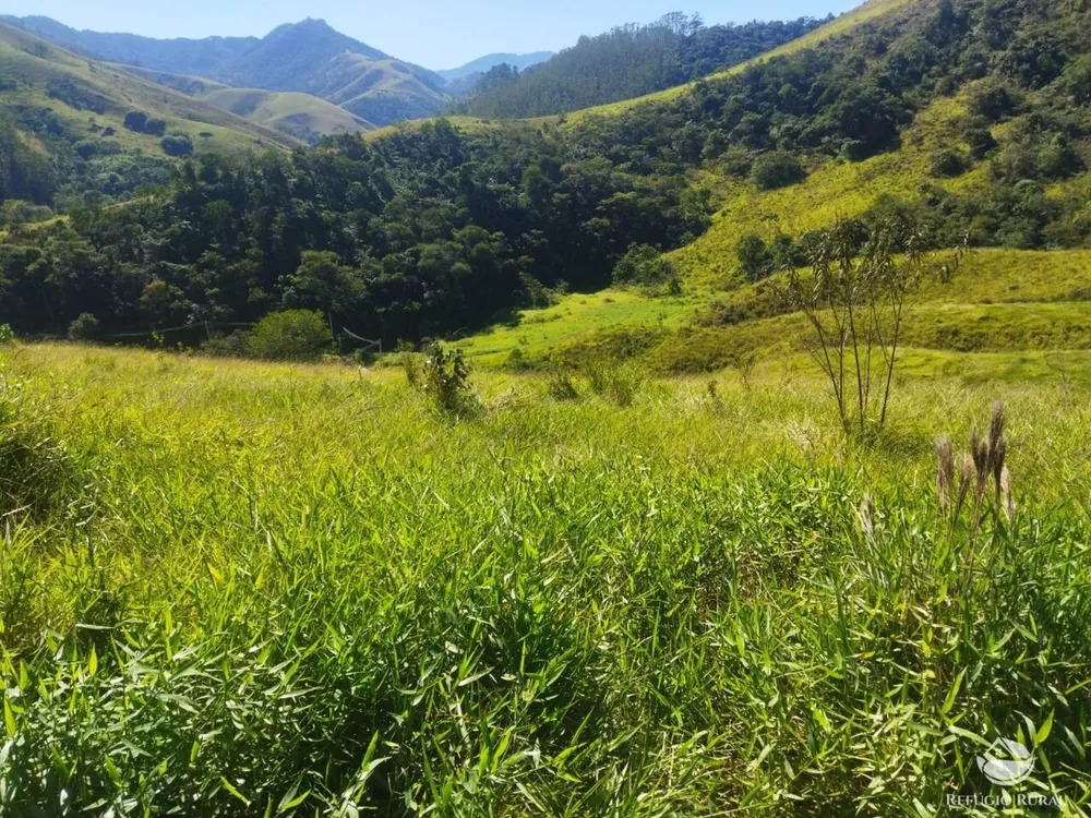 Terreno, 3 hectares - Foto 1