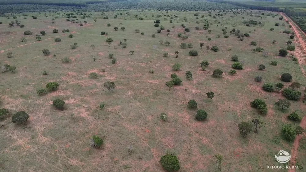 Fazenda, 692 hectares - Foto 6