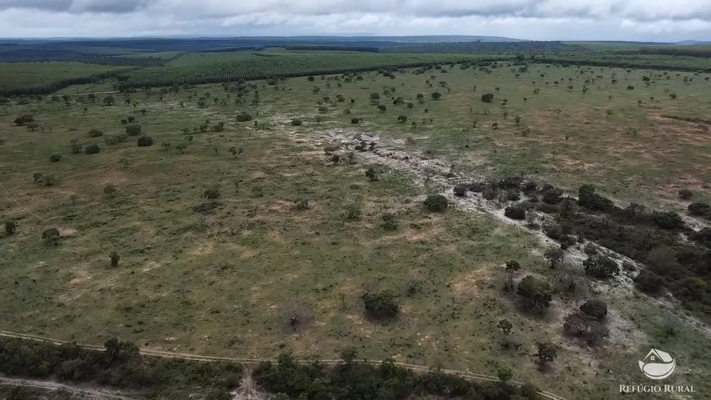 Fazenda, 692 hectares - Foto 9