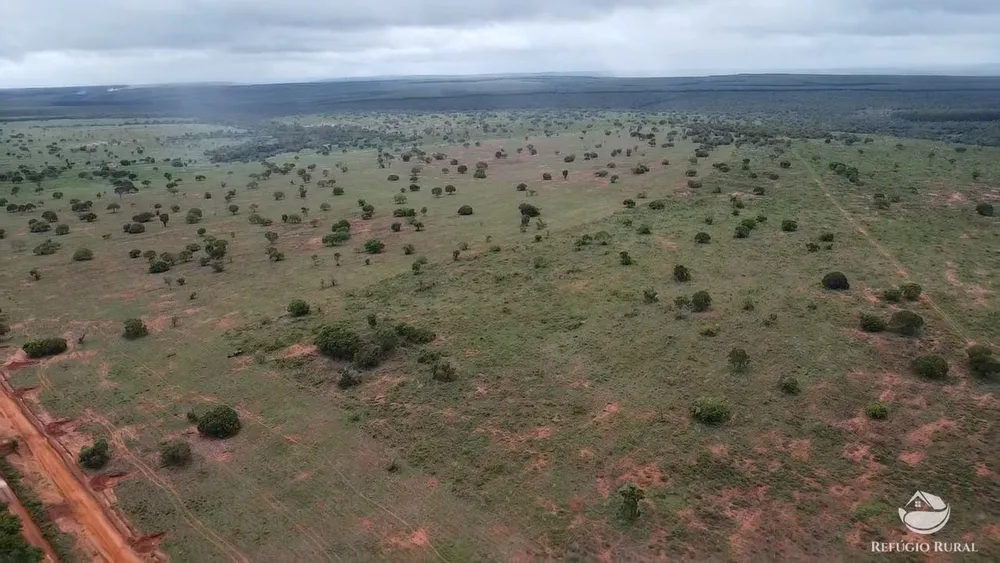 Fazenda, 692 hectares - Foto 11