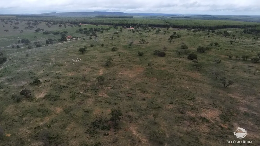Fazenda, 692 hectares - Foto 4