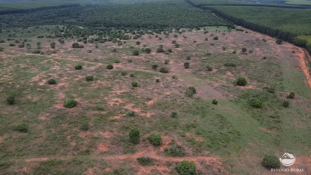 Fazenda, 692 hectares - Foto 10