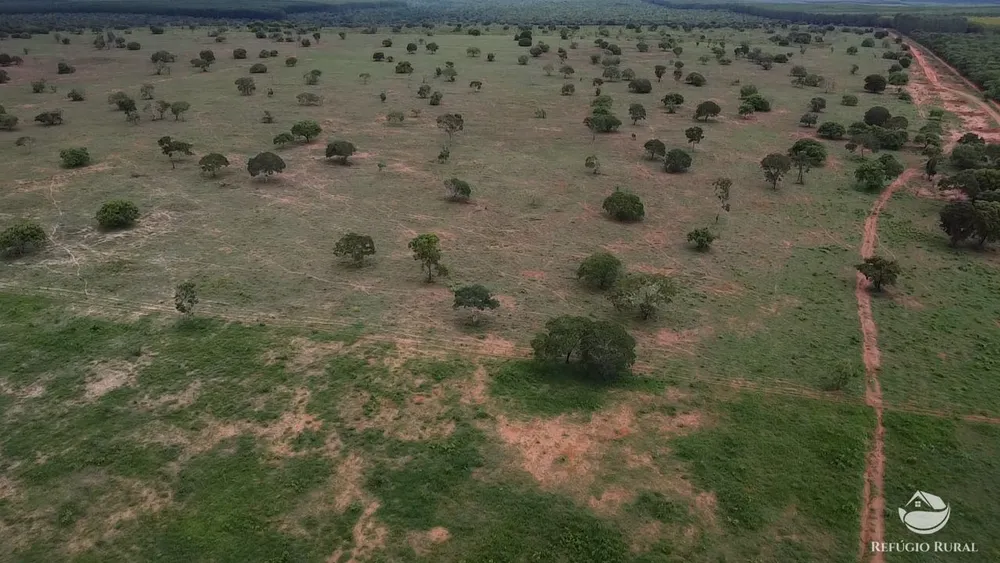 Fazenda, 692 hectares - Foto 7
