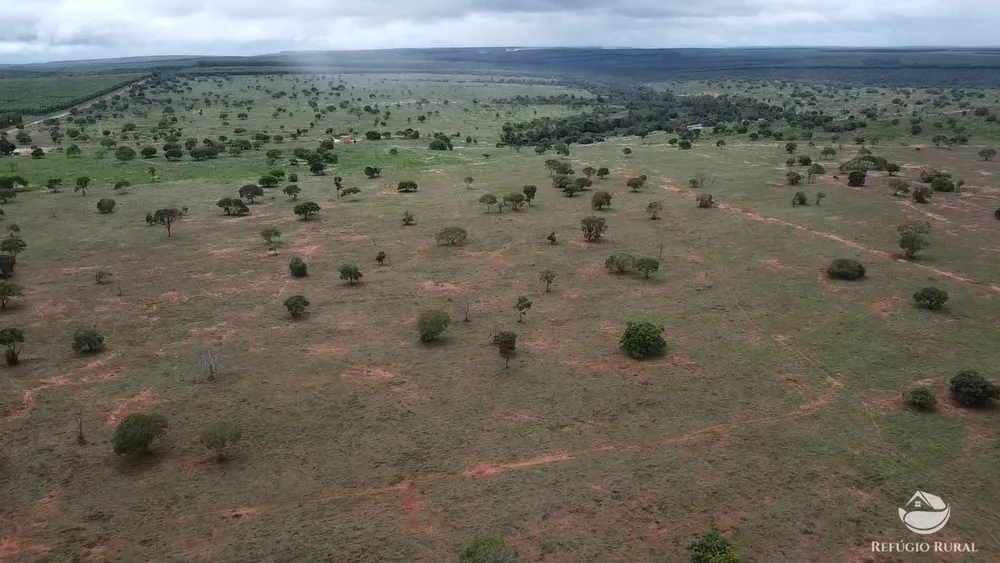Fazenda, 692 hectares - Foto 12
