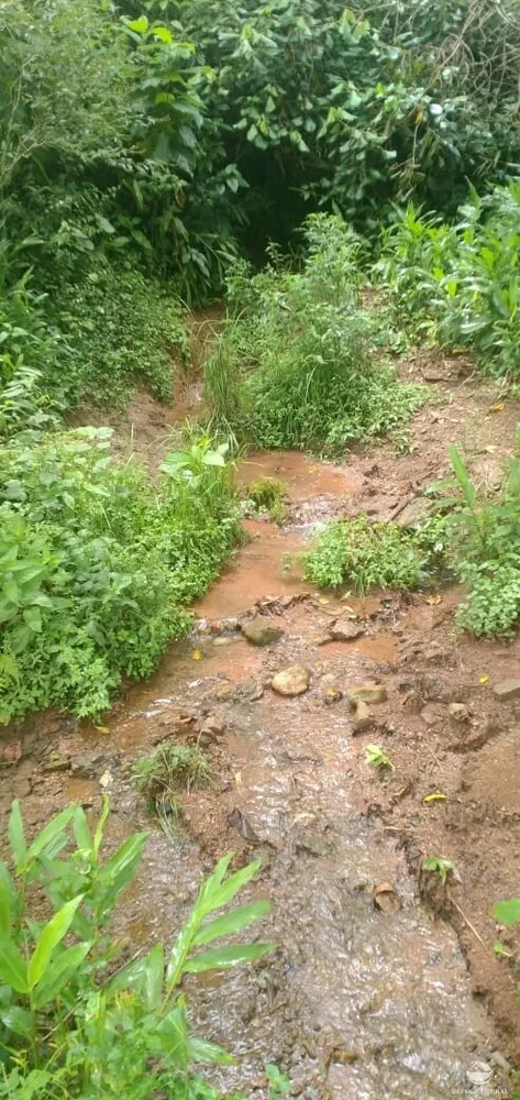 Terreno, 4 hectares - Foto 1