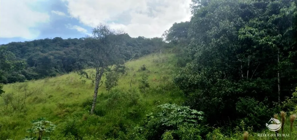 Terreno, 4 hectares - Foto 4
