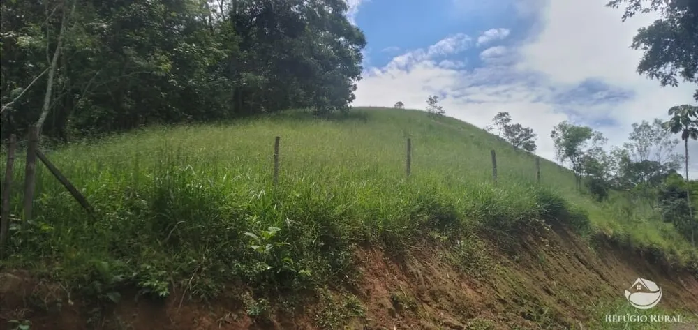 Terreno, 4 hectares - Foto 13