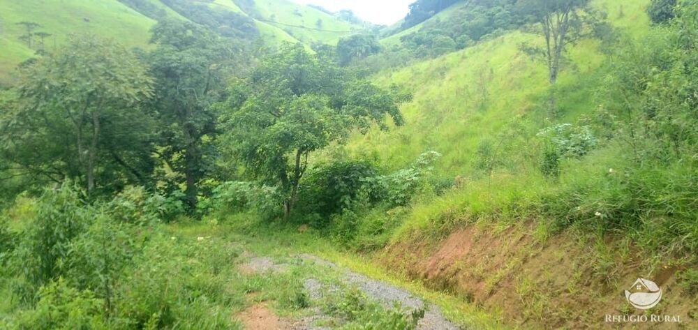 Terreno à venda, 36300m² - Foto 3