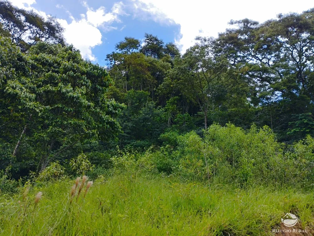 Terreno, 4 hectares - Foto 12