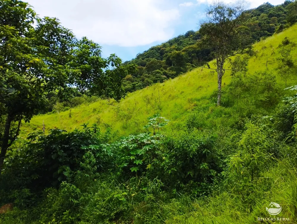 Terreno, 4 hectares - Foto 15
