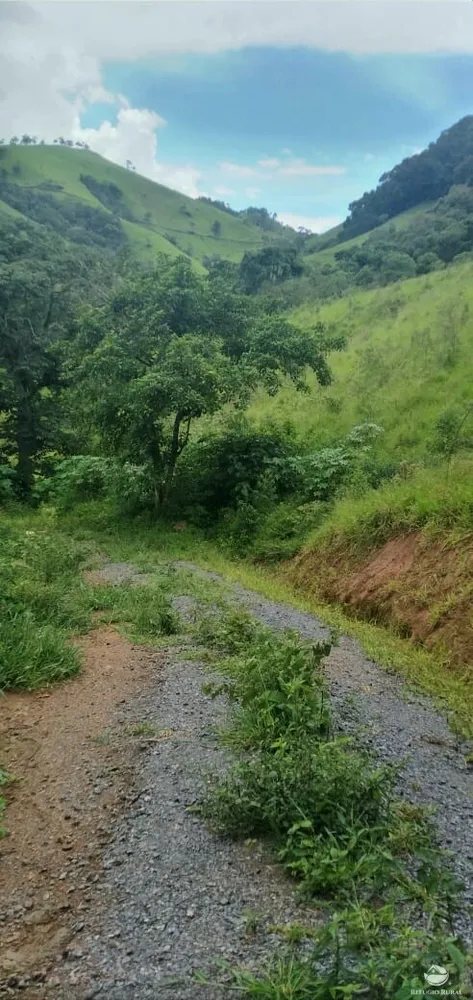 Terreno, 4 hectares - Foto 11