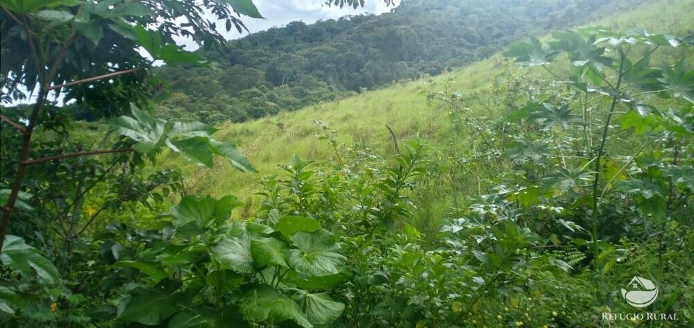 Terreno à venda, 36300m² - Foto 4