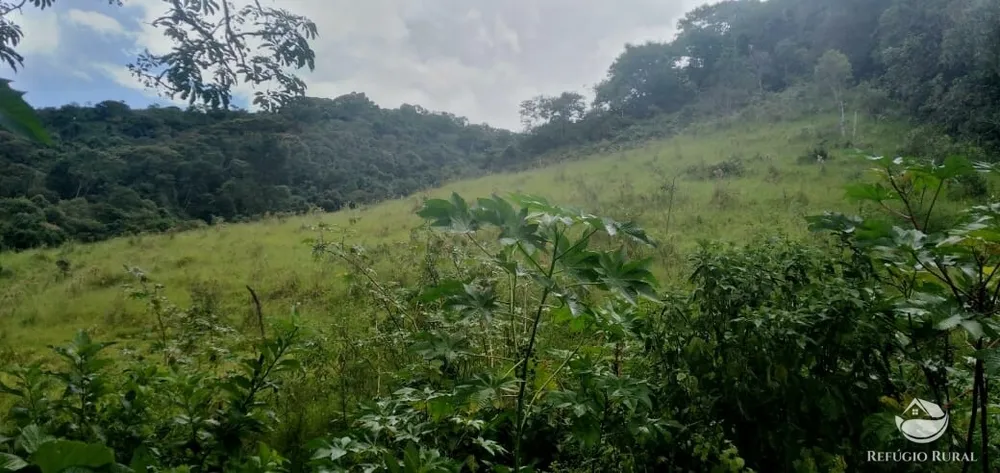 Terreno, 4 hectares - Foto 10