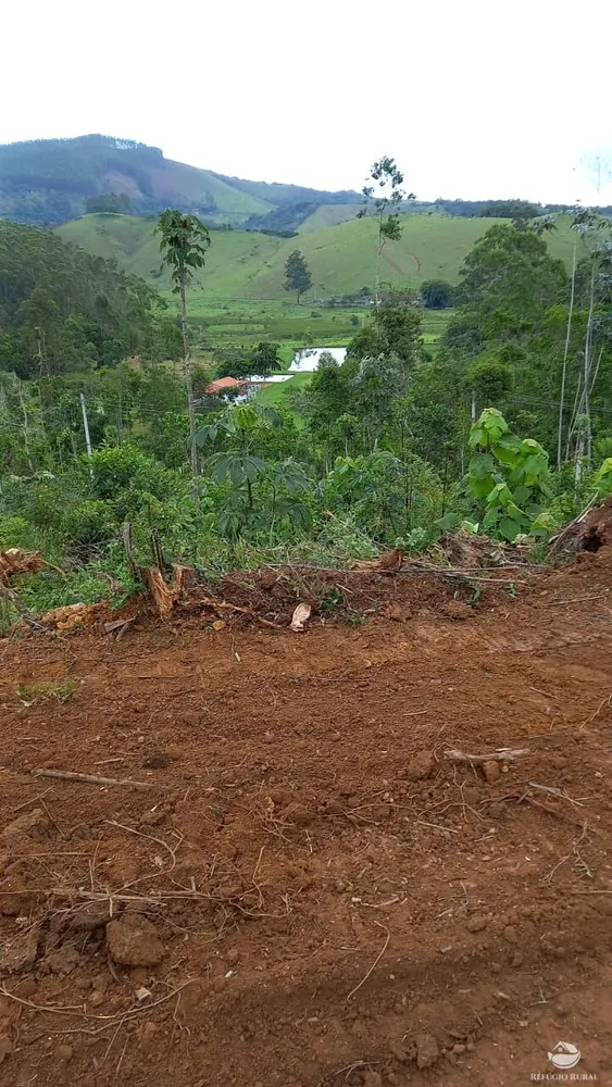 Terreno, 2 hectares - Foto 7