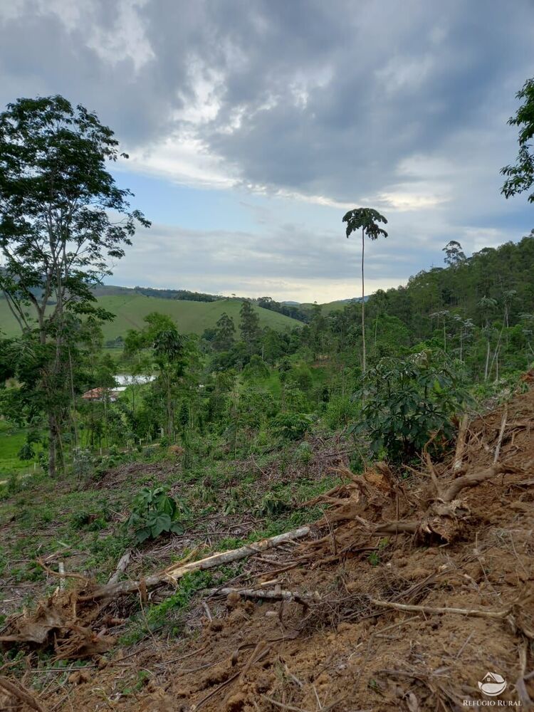 Terreno à venda, 22000m² - Foto 3