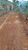 Terreno, 2 hectares - Foto 6