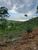 Terreno, 2 hectares - Foto 3