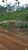 Terreno, 2 hectares - Foto 4