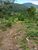 Terreno, 2 hectares - Foto 1
