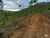 Terreno, 2 hectares - Foto 8