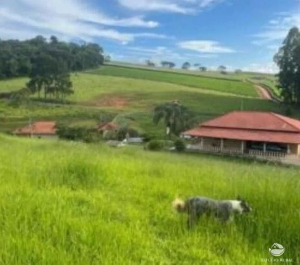 Fazenda, 242 hectares - Foto 2