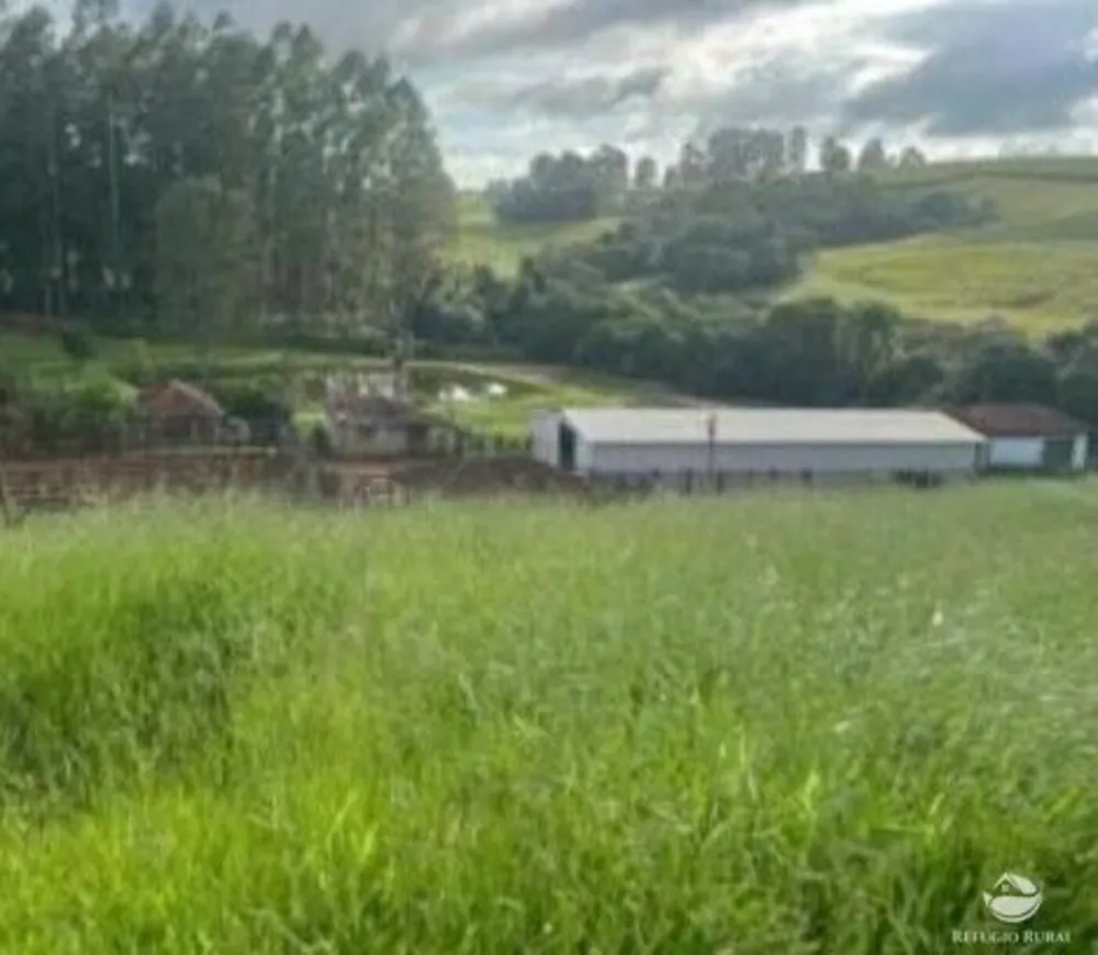 Fazenda, 242 hectares - Foto 3