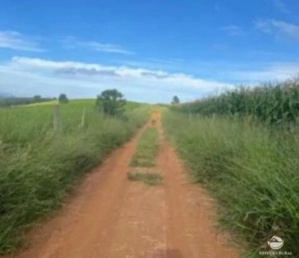 Fazenda, 242 hectares - Foto 7