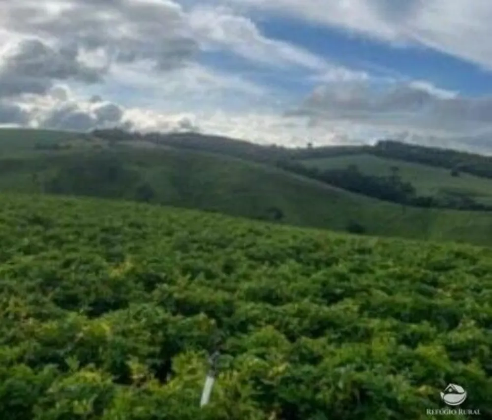 Fazenda, 242 hectares - Foto 11