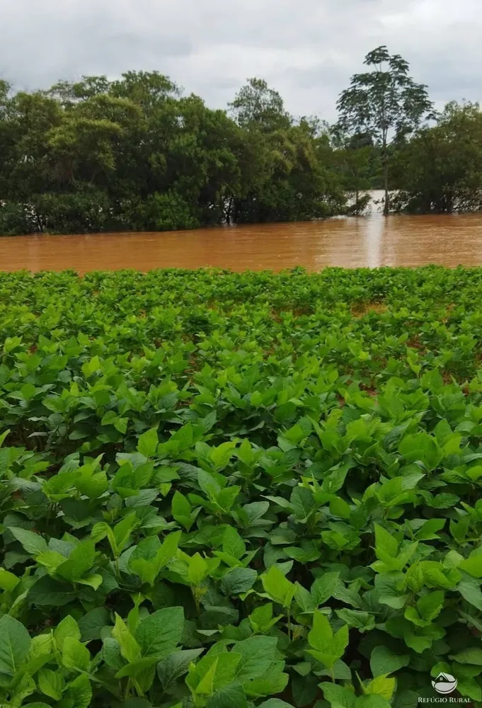 Fazenda, 755 hectares - Foto 9