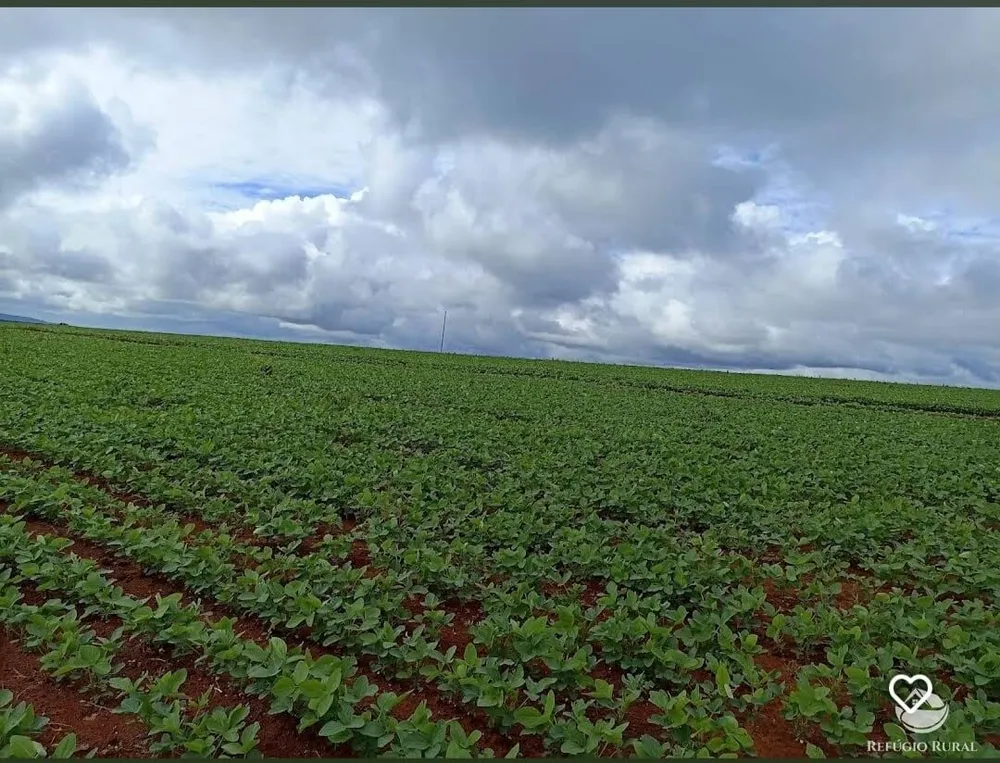 Fazenda, 755 hectares - Foto 2