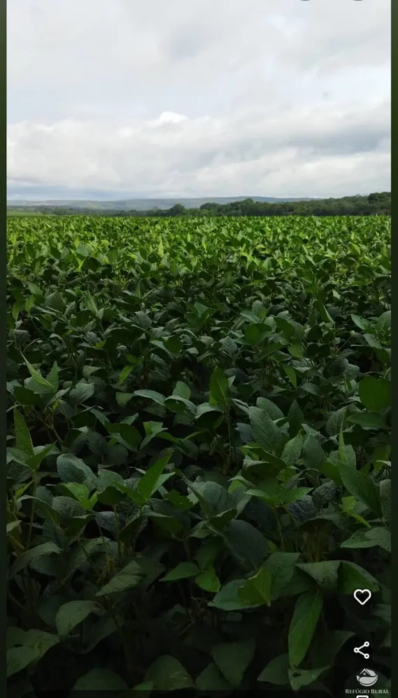 Fazenda, 755 hectares - Foto 11