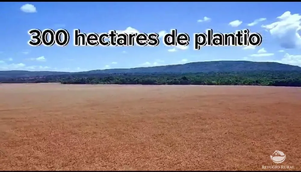 Fazenda, 755 hectares - Foto 5