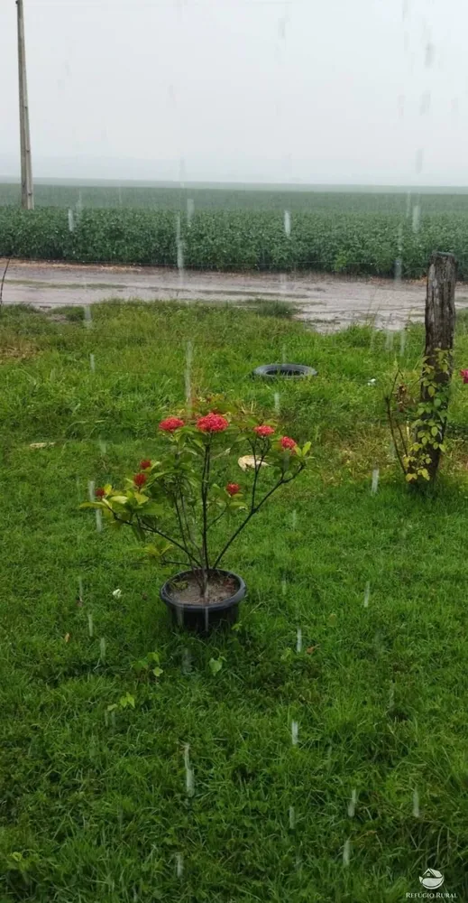 Fazenda, 755 hectares - Foto 14