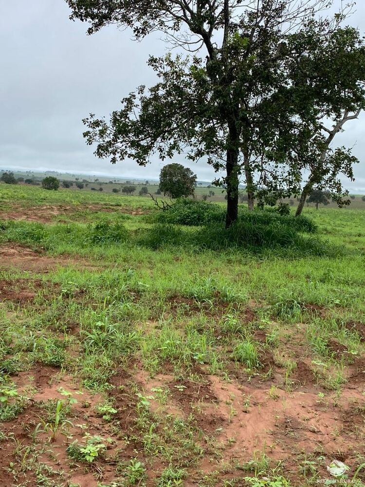 Fazenda à venda com 3 quartos, 46600000m² - Foto 3