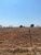 Fazenda, 4660 hectares - Foto 2