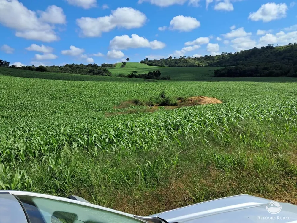 Fazenda, 700 hectares - Foto 7