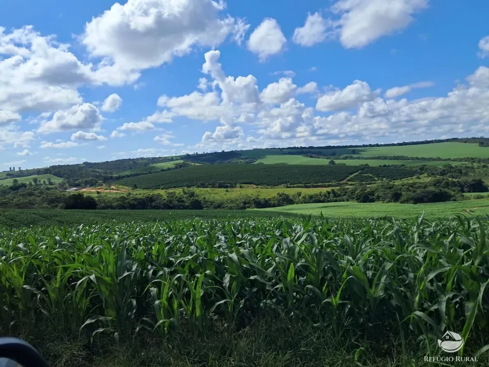 Fazenda, 700 hectares - Foto 6