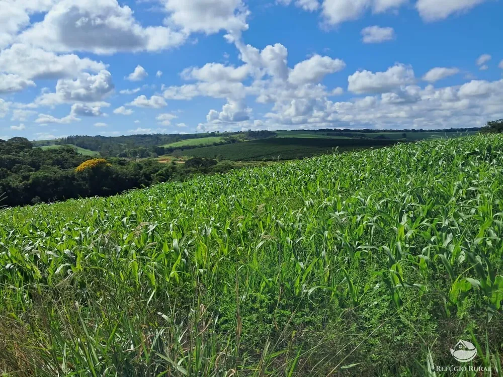 Fazenda, 700 hectares - Foto 2