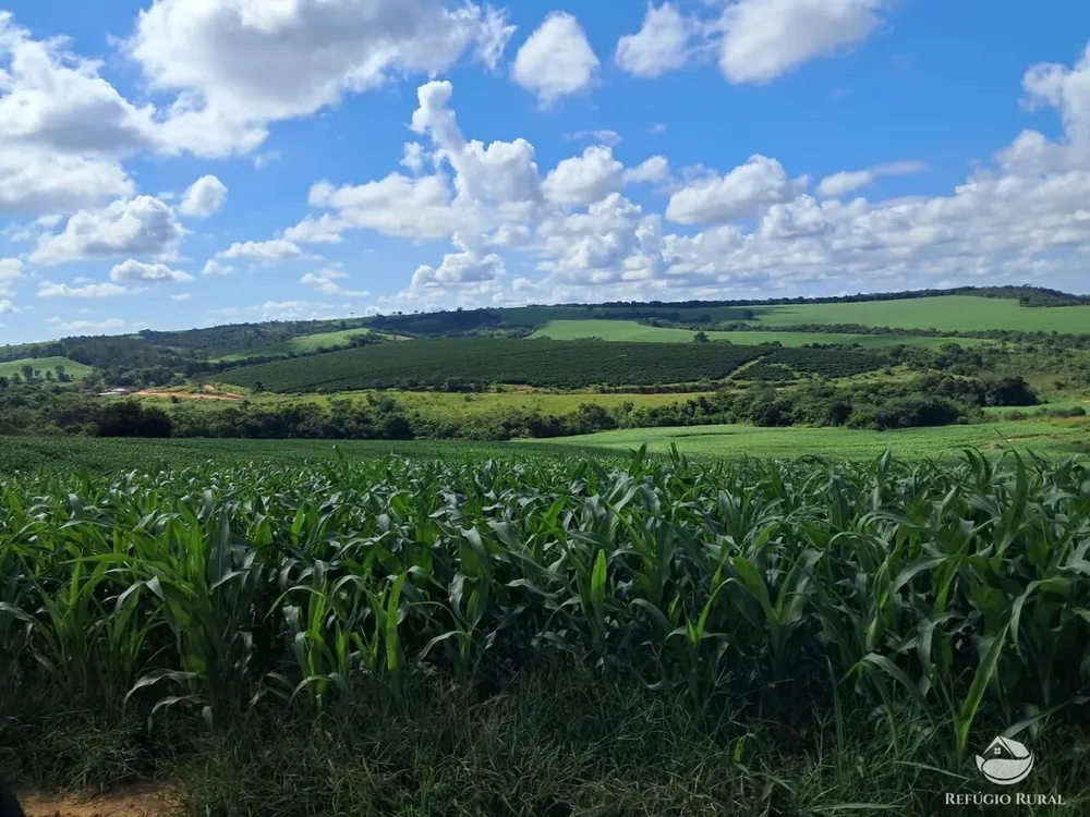Fazenda, 700 hectares - Foto 1