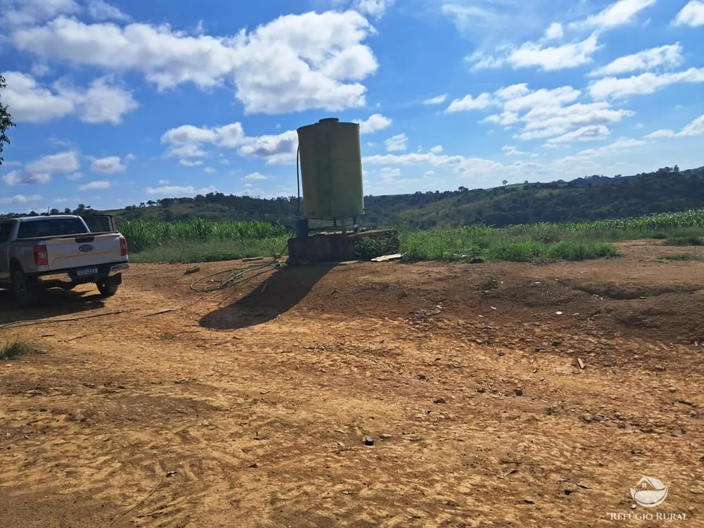 Fazenda, 700 hectares - Foto 11