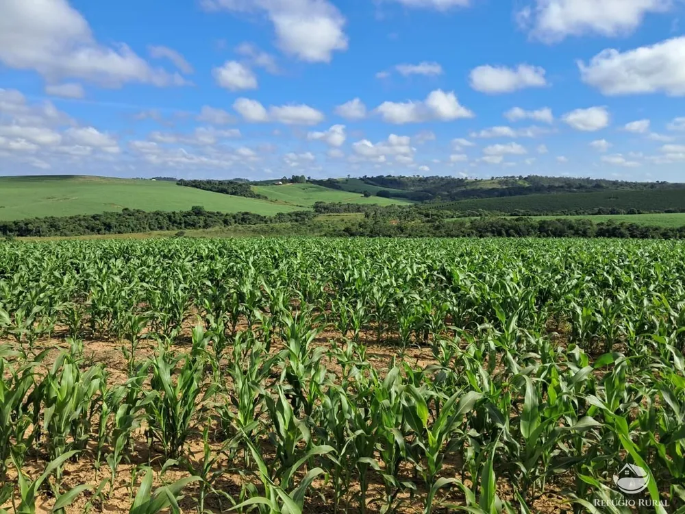 Fazenda, 700 hectares - Foto 10