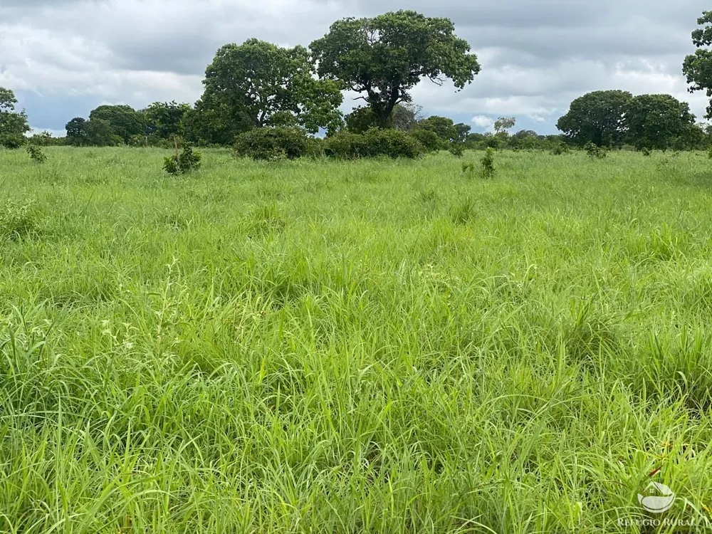 Fazenda, 1113 hectares - Foto 4