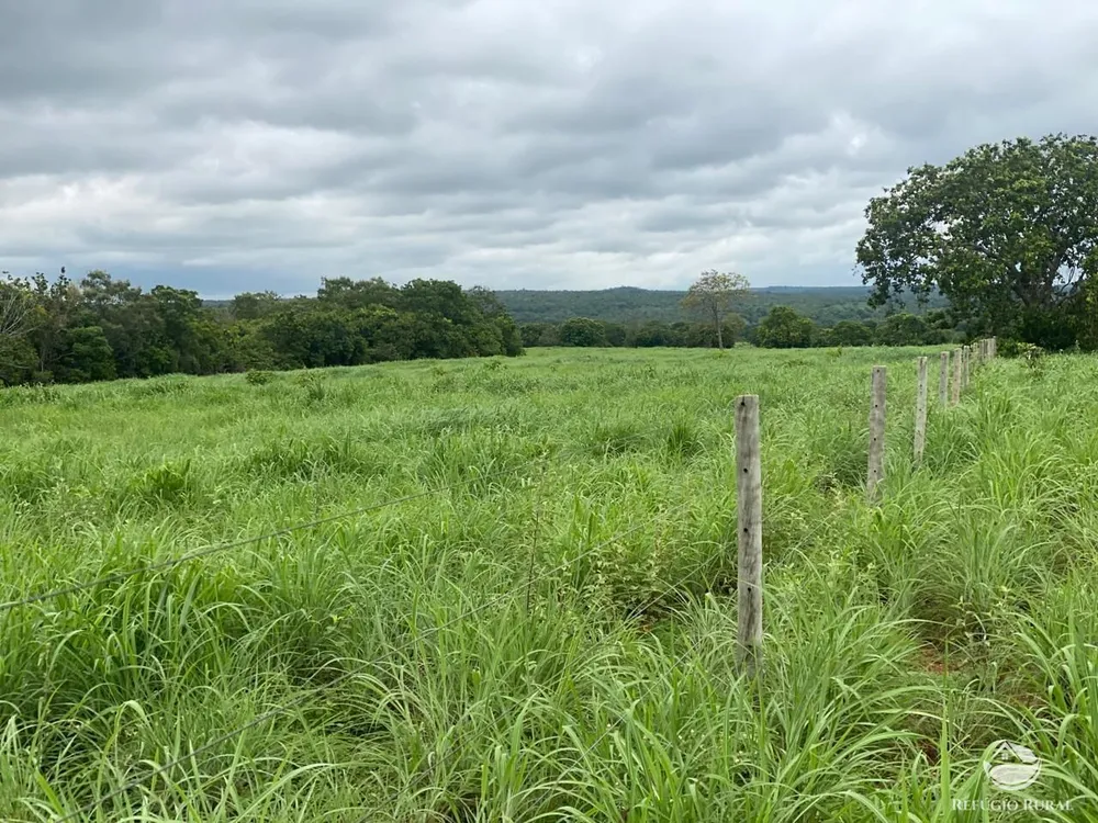 Fazenda, 1113 hectares - Foto 4