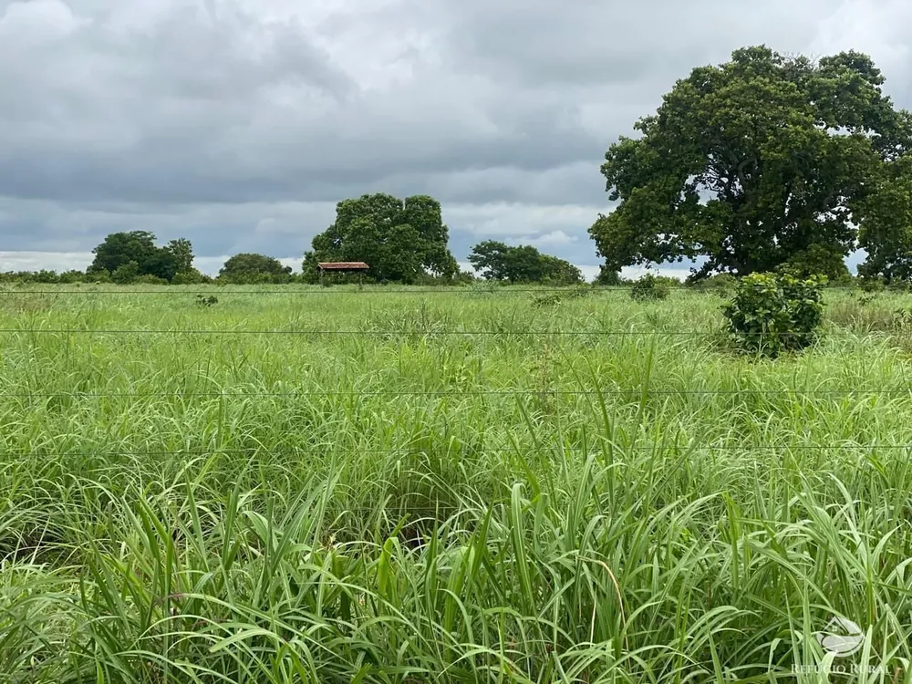 Fazenda, 1113 hectares - Foto 2