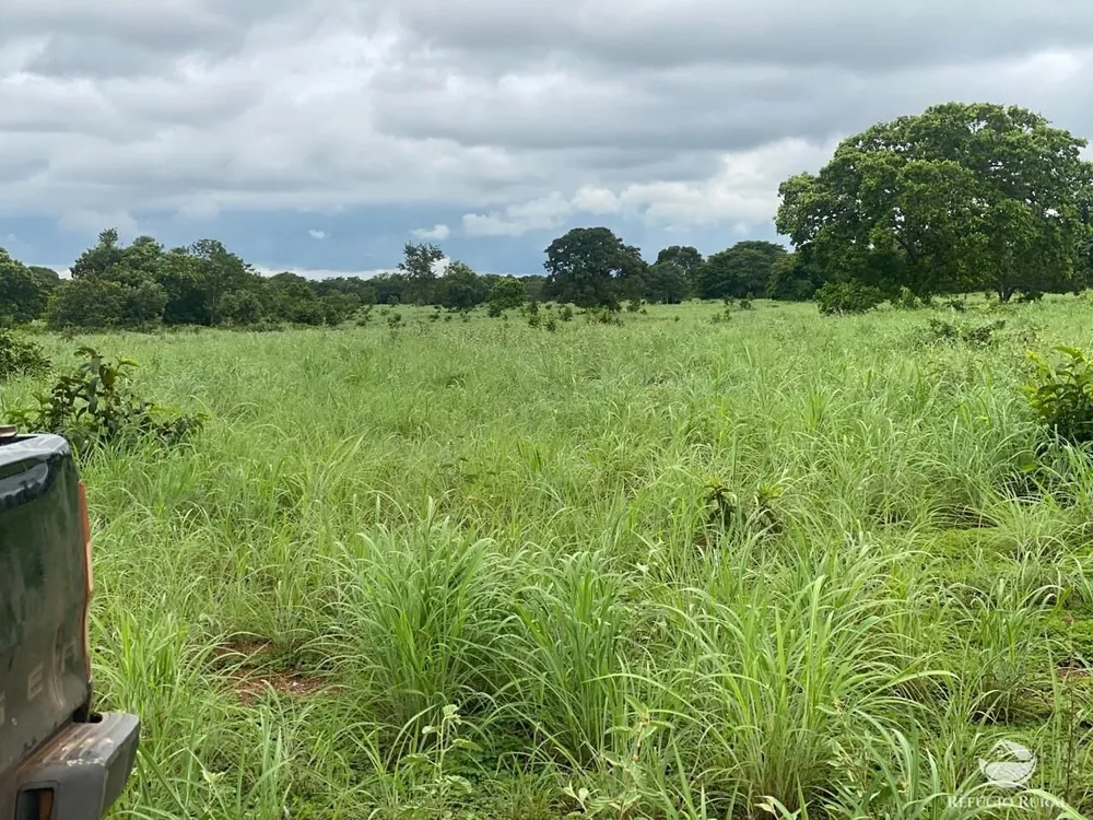 Fazenda, 1113 hectares - Foto 1
