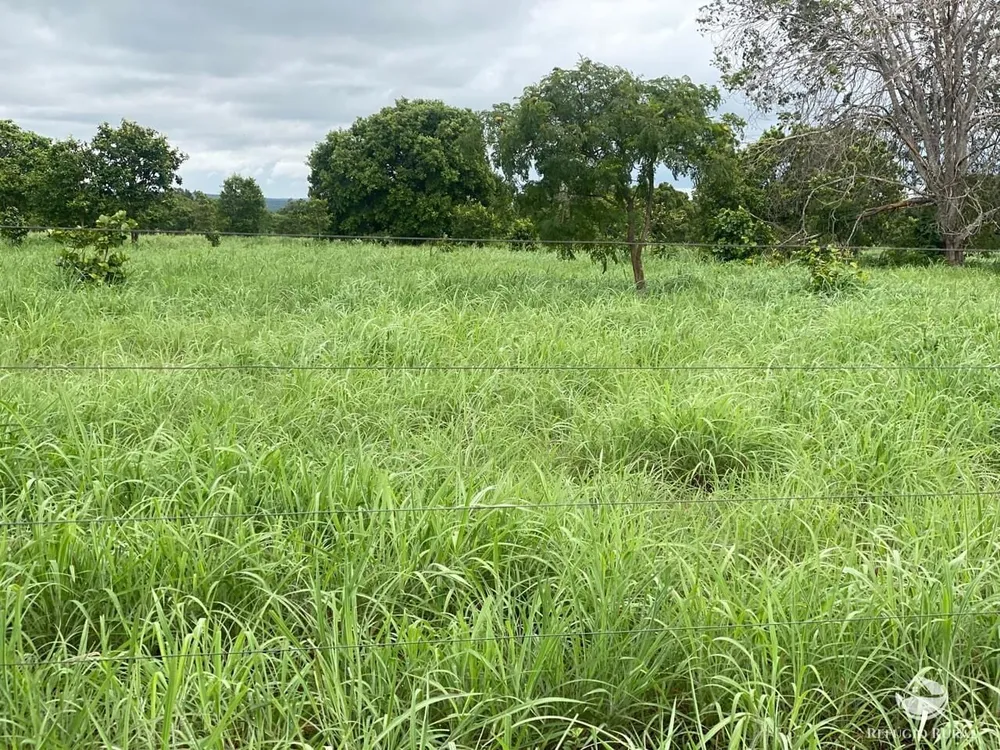 Fazenda, 1113 hectares - Foto 9