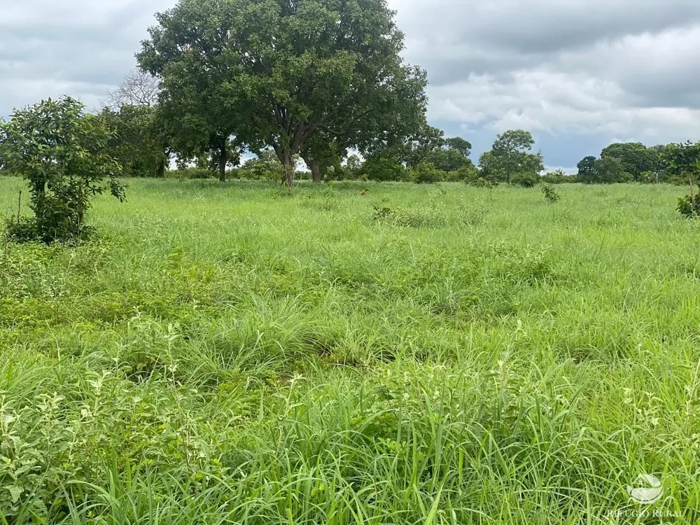 Fazenda, 1113 hectares - Foto 3