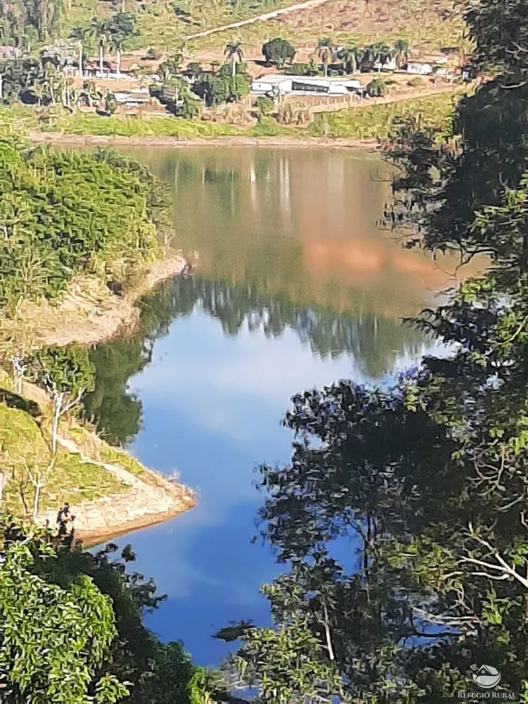 Chácara, 5000 m² - Foto 4