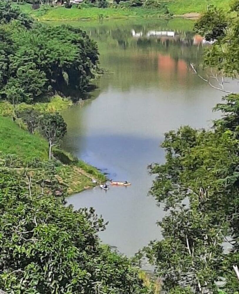 Chácara à venda com 4 quartos, 5000m² - Foto 1